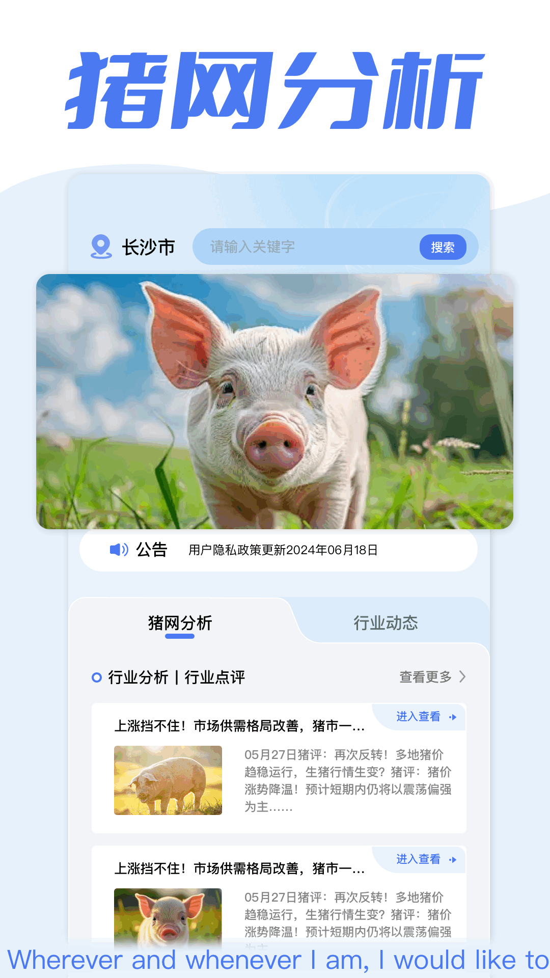 全民养猪场截图