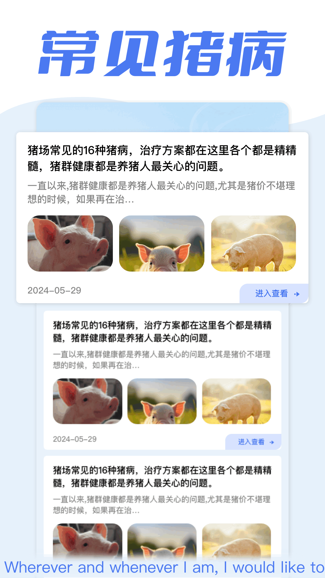 全民养猪场截图