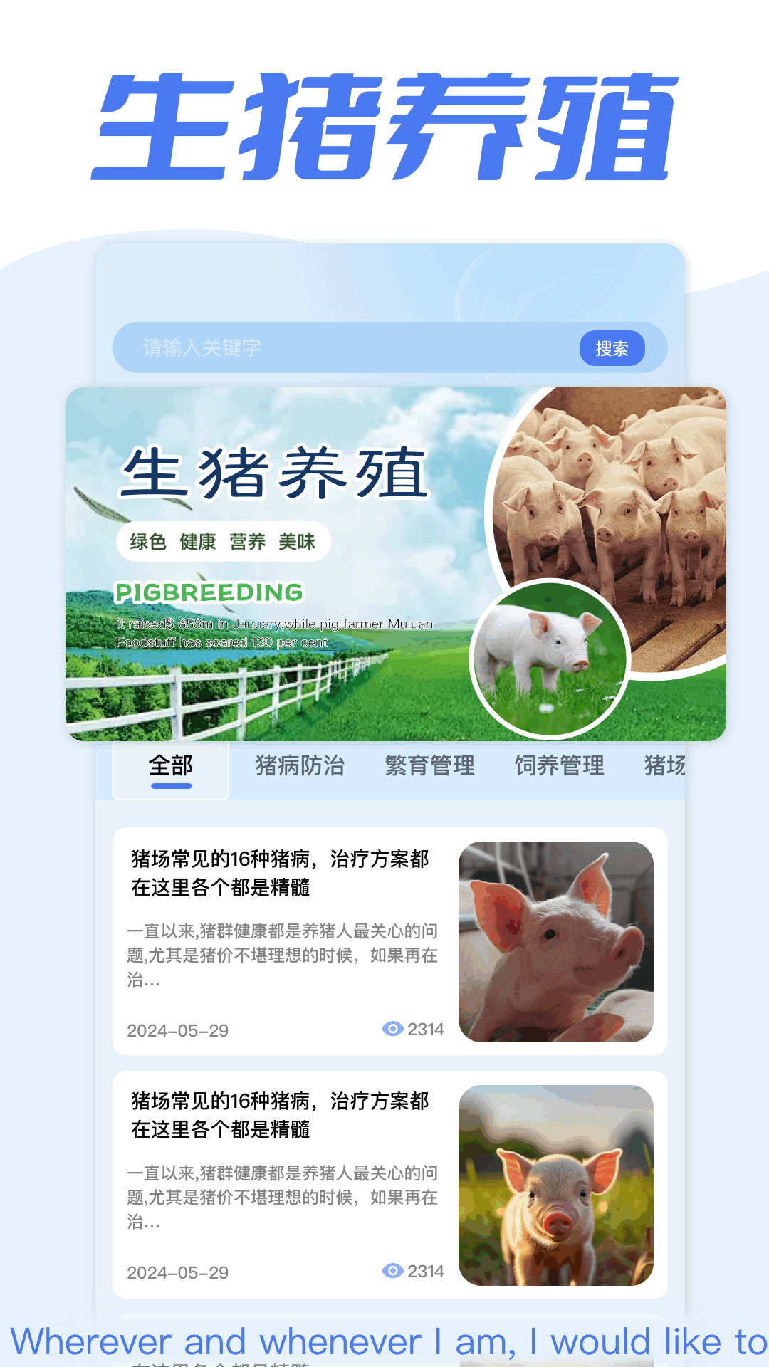 全民养猪场截图