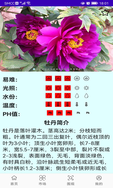绿植花卉截图