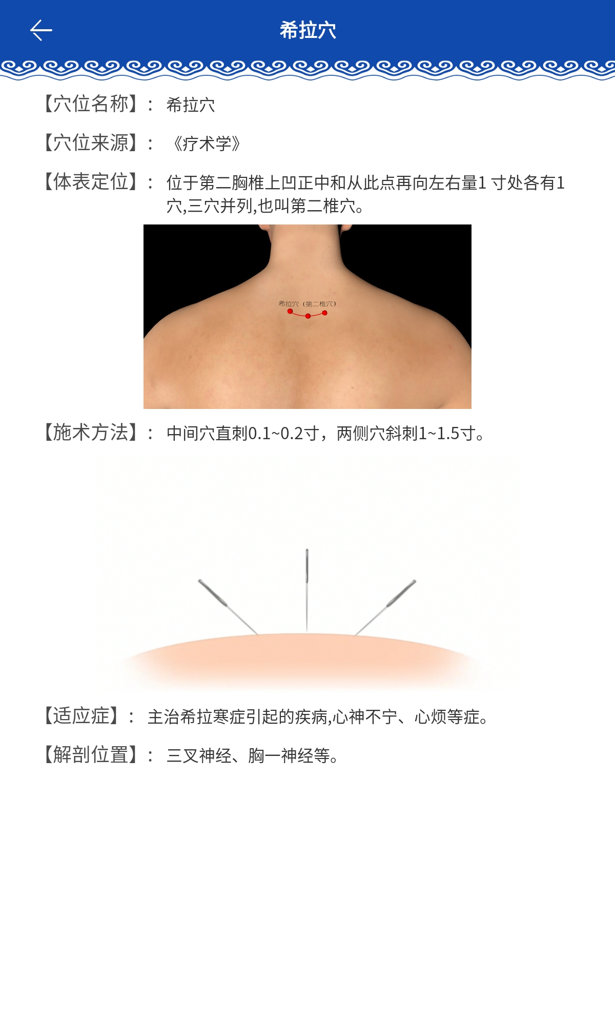 蒙医穴位标准化信息系统截图