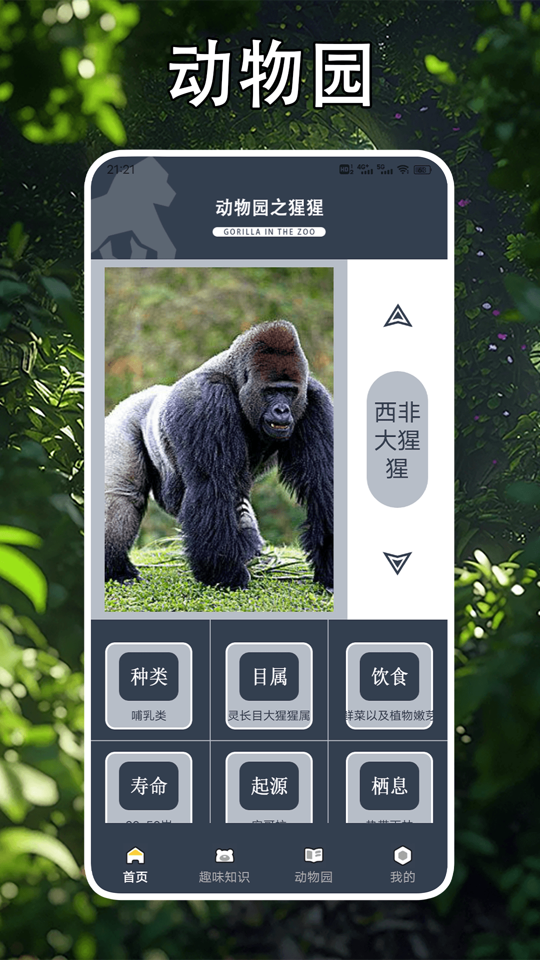 畸形动物园电脑版截图