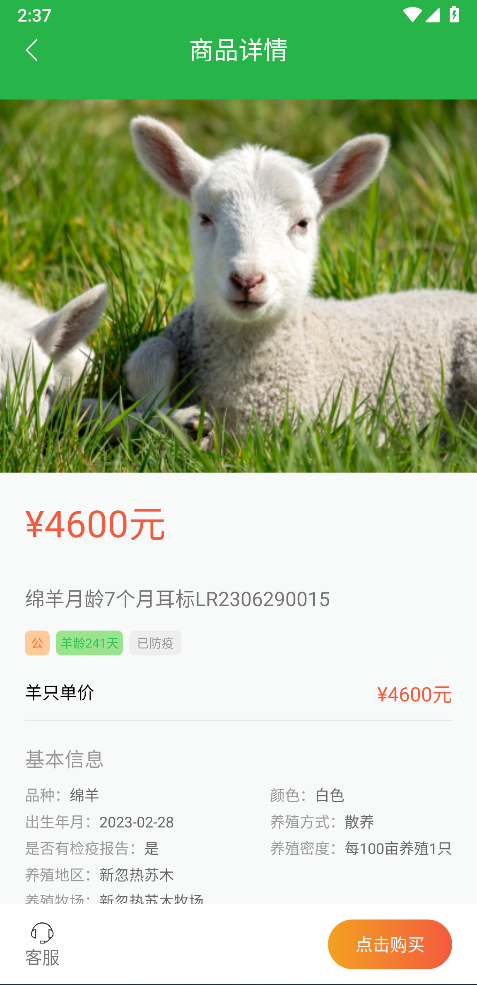 我在草原有只羊截图