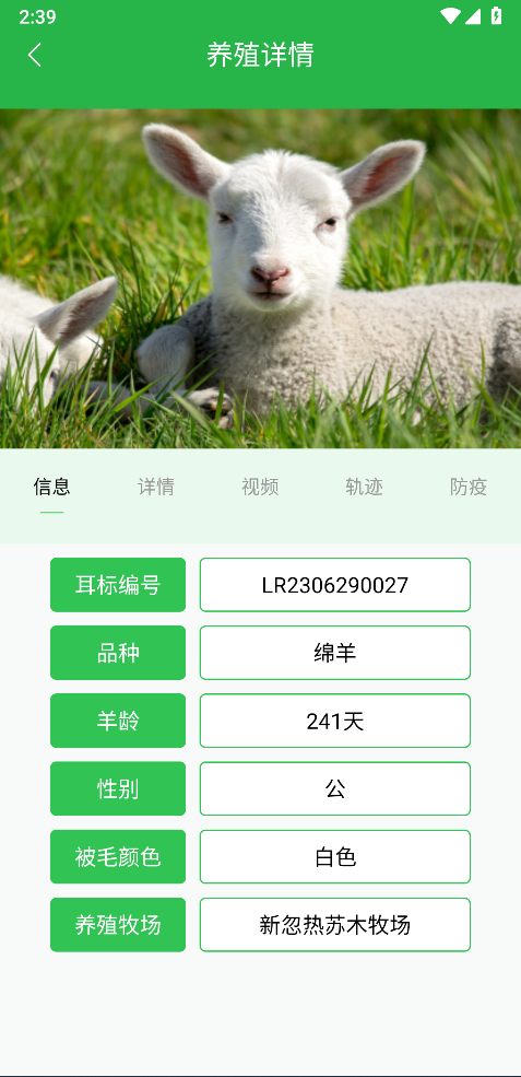 我在草原有只羊截图
