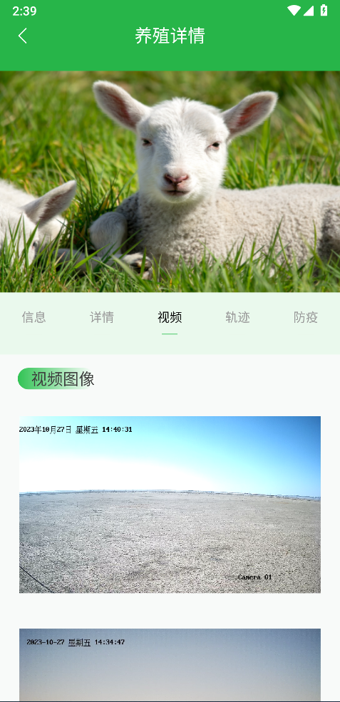 我在草原有只羊截图