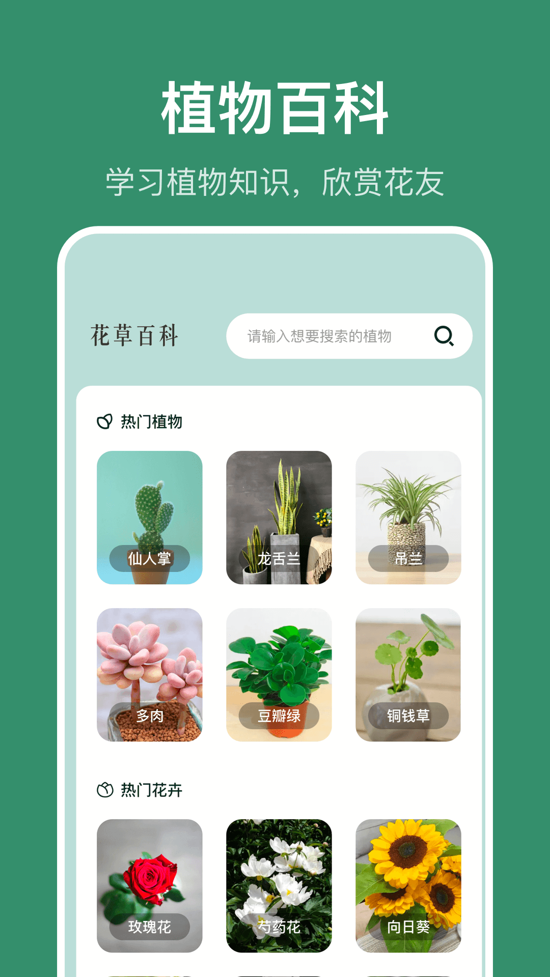 识花草截图