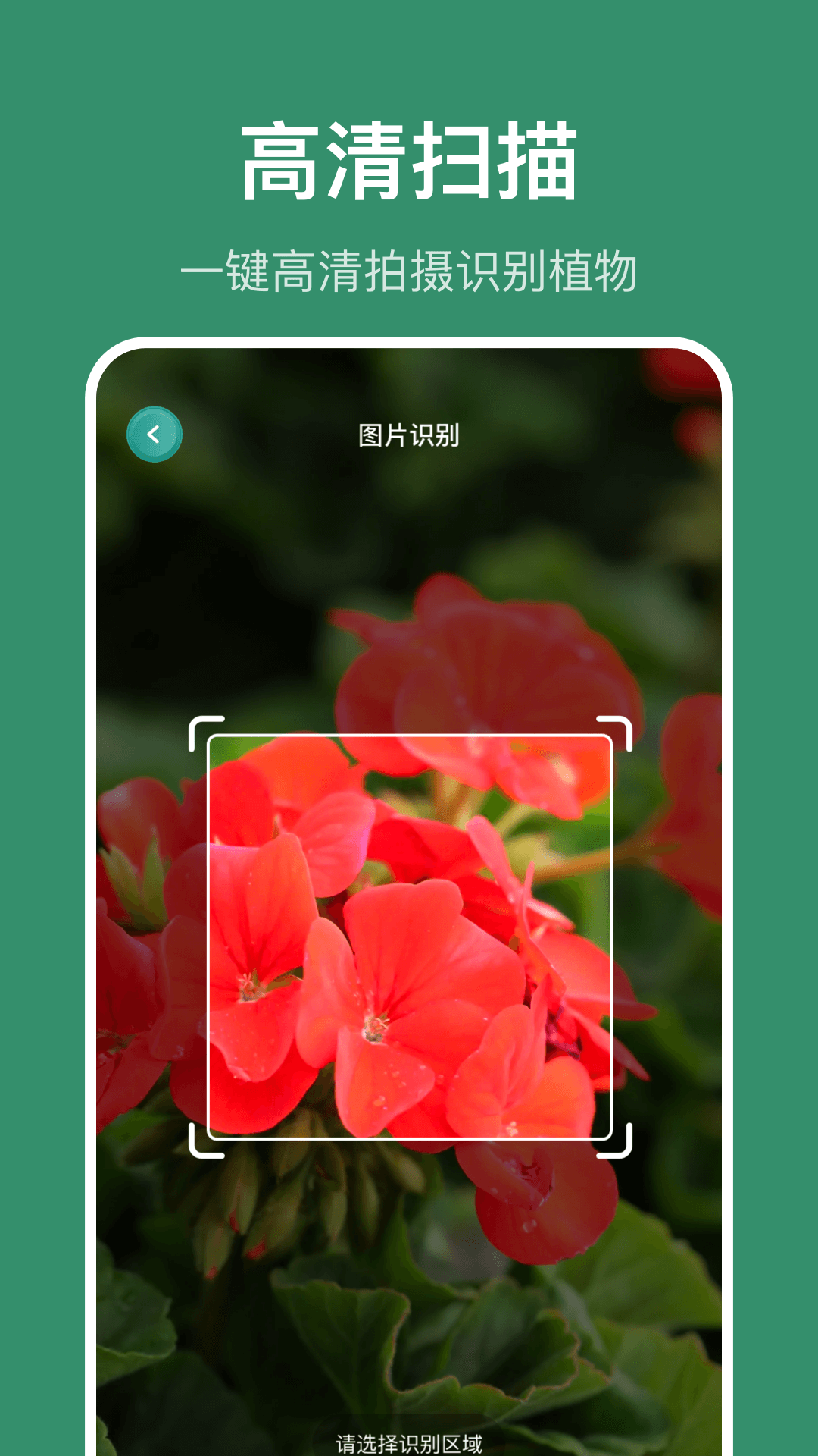 识花草截图