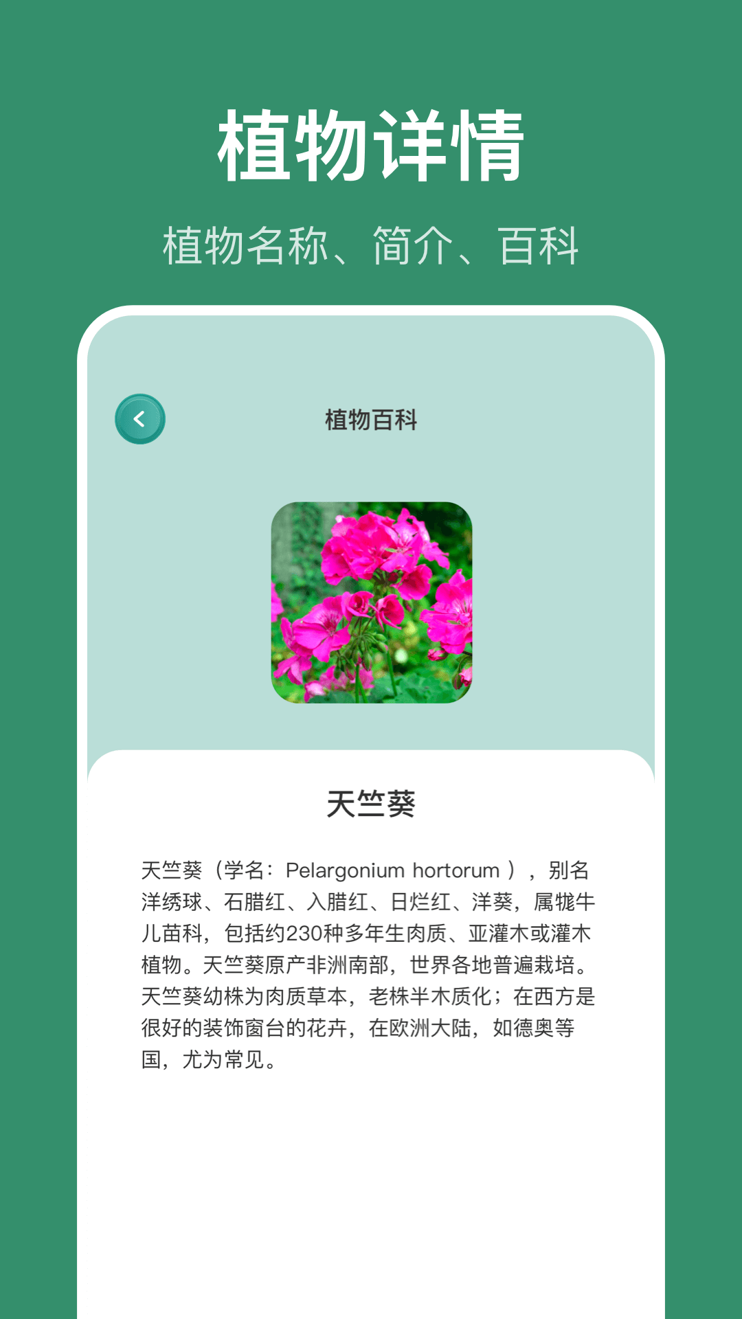 识花草截图
