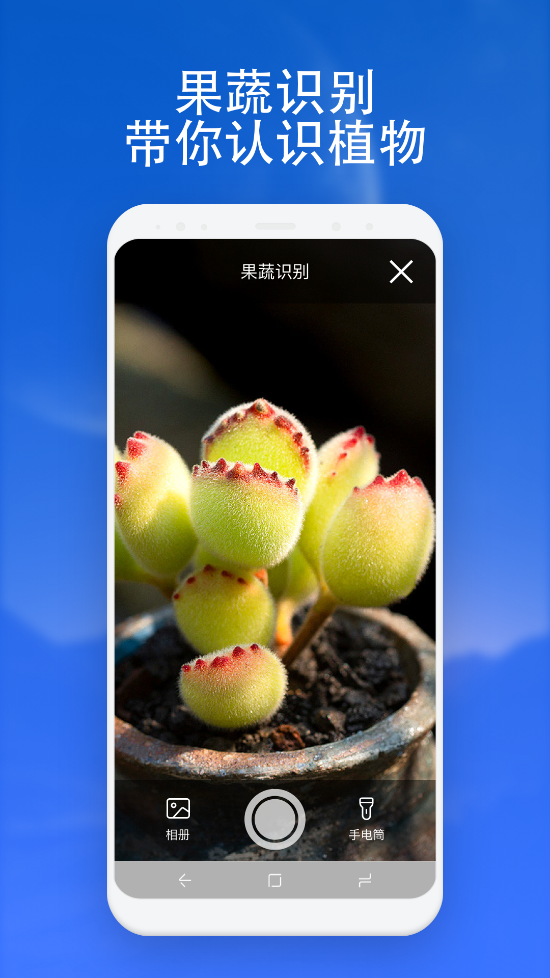 扫描通通识截图