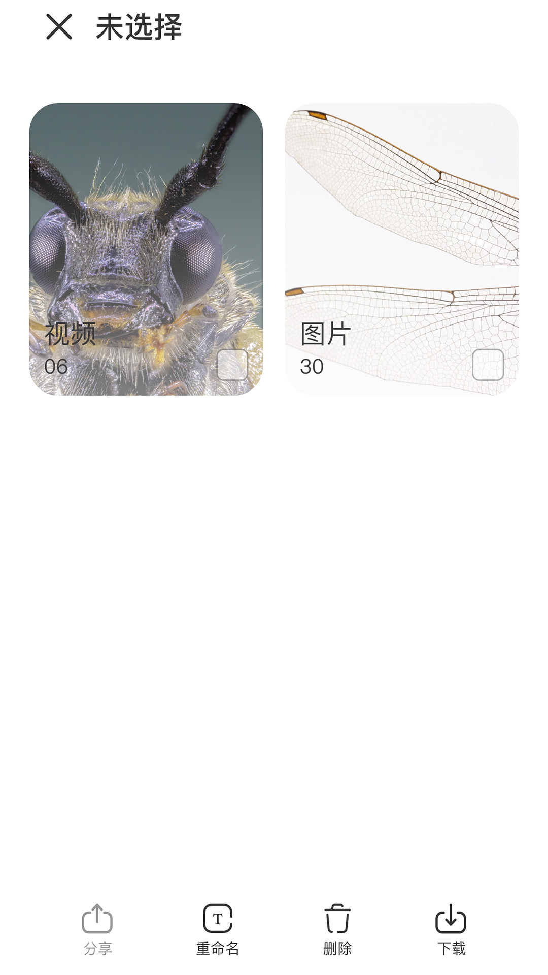 阿蛋科学探索截图