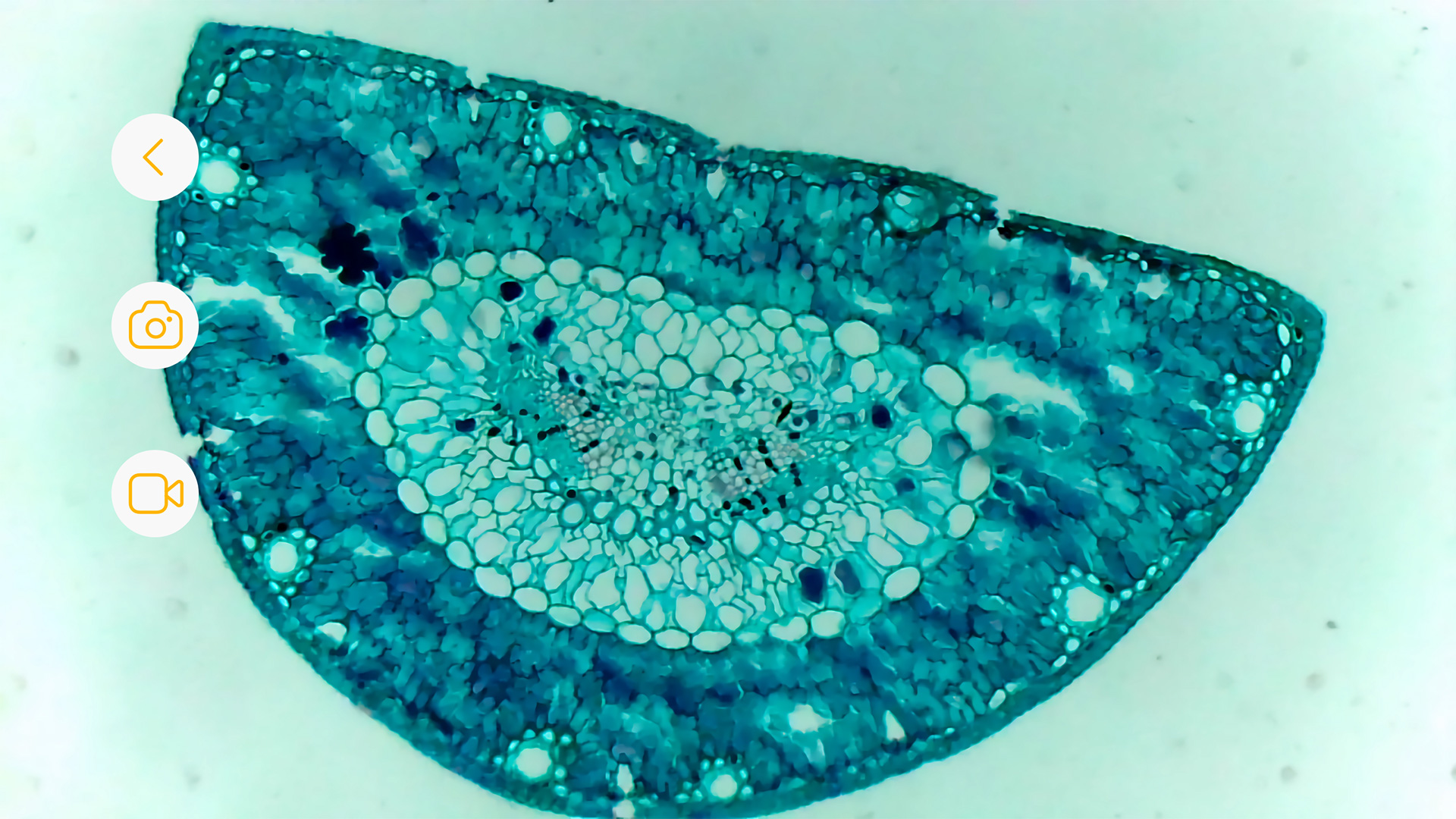阿蛋科学探索截图