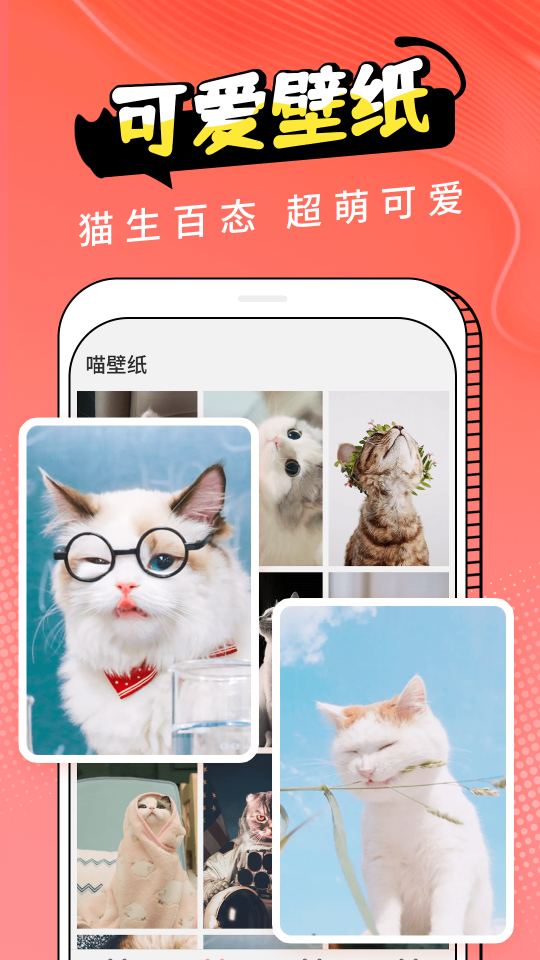 动物交流器截图