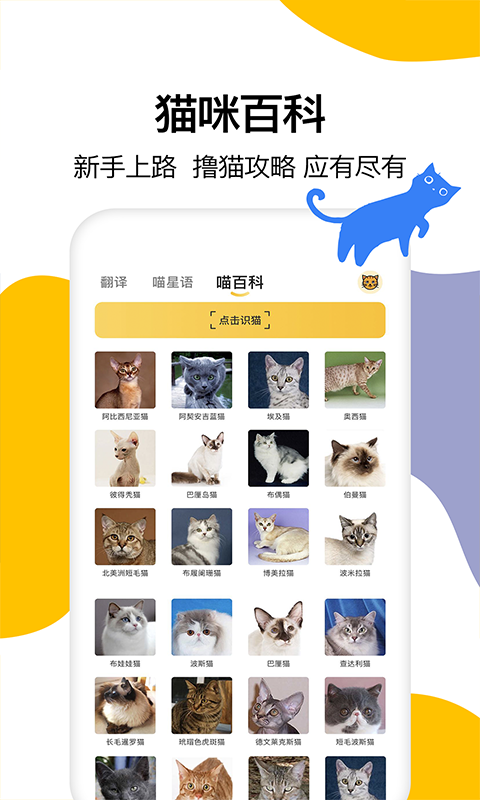 猫语翻译截图