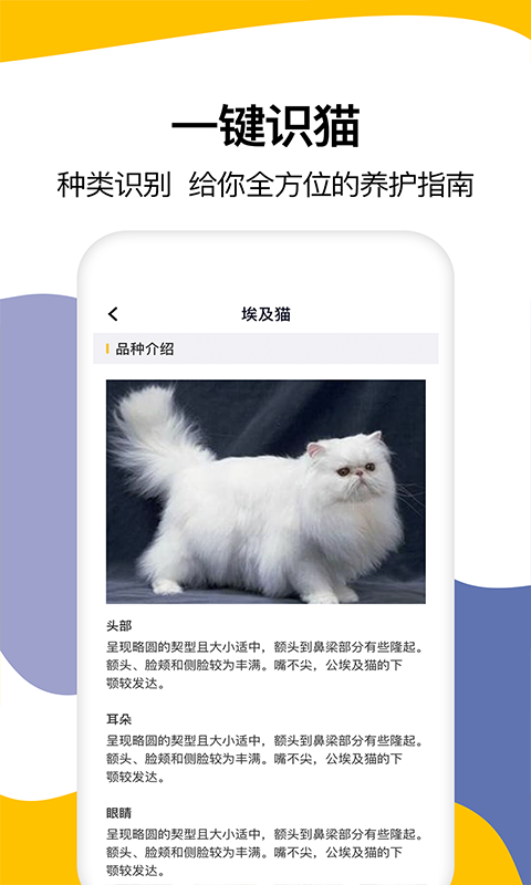 猫语翻译截图