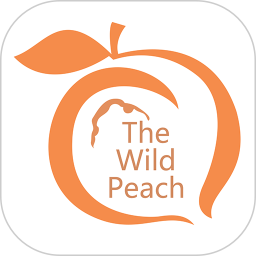 毛桃商城电脑版