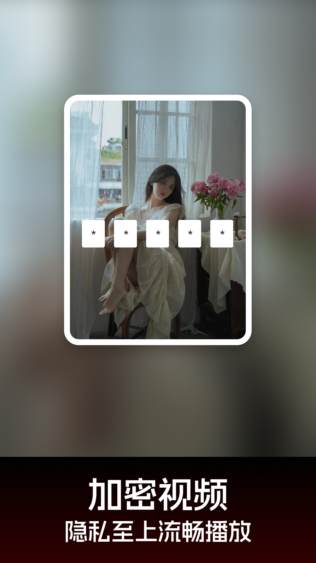 隐私播放器截图