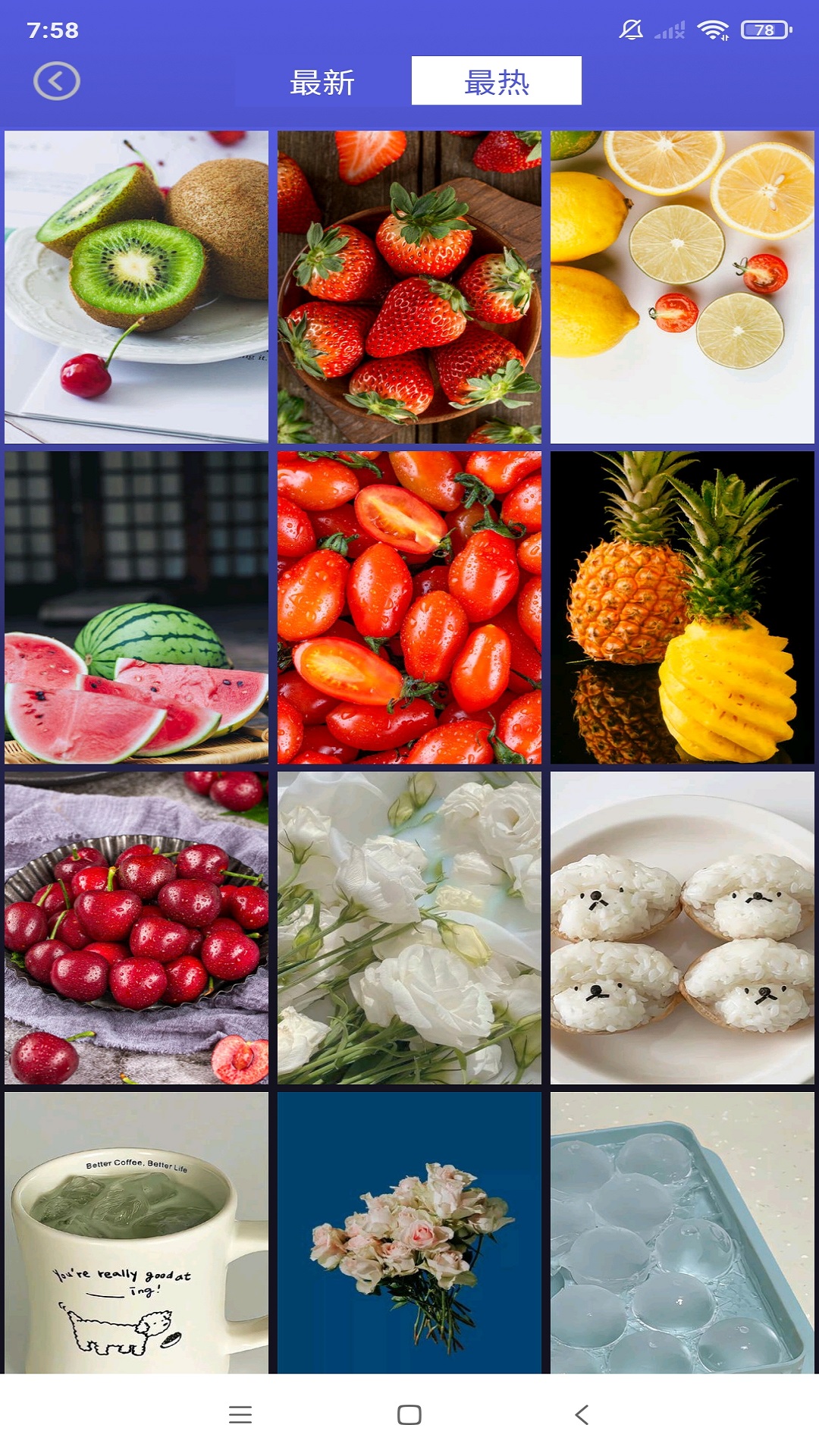 壁纸图片大师截图