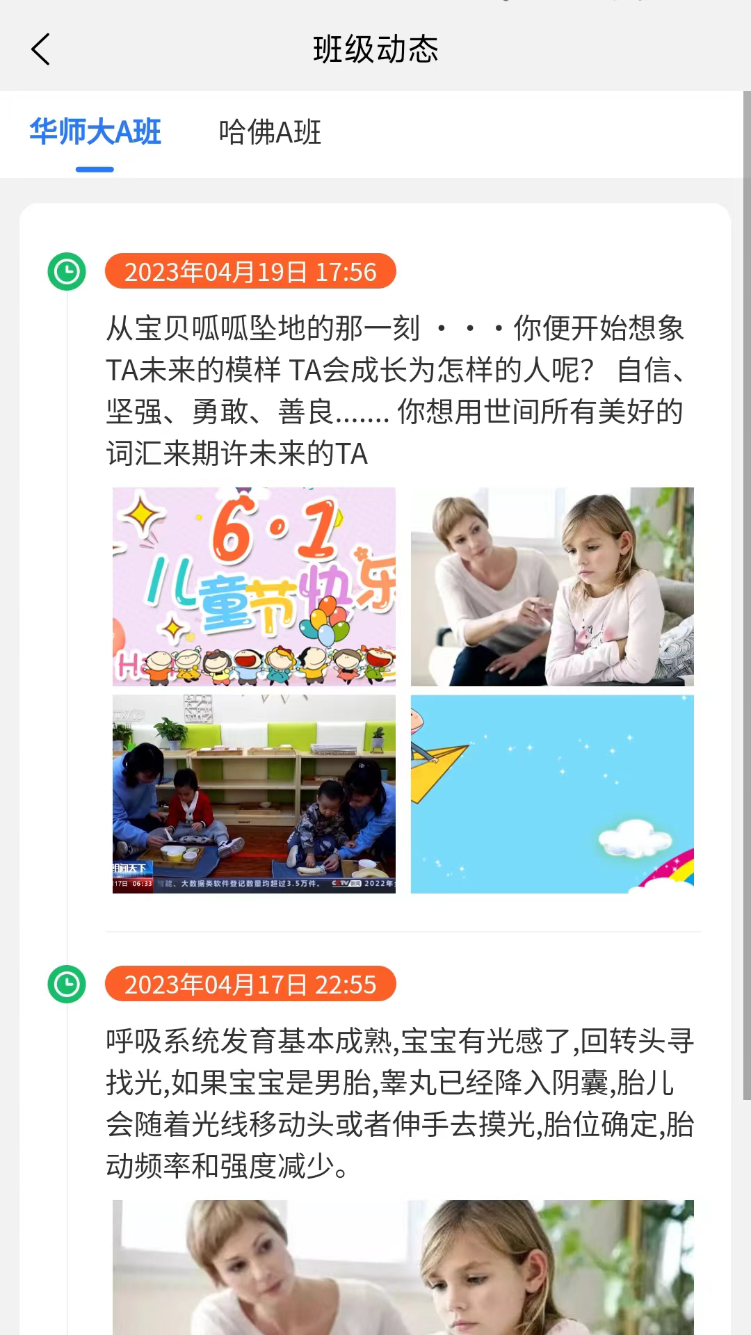 宝可托园丁截图