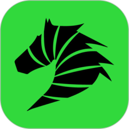 斑马视频电脑版