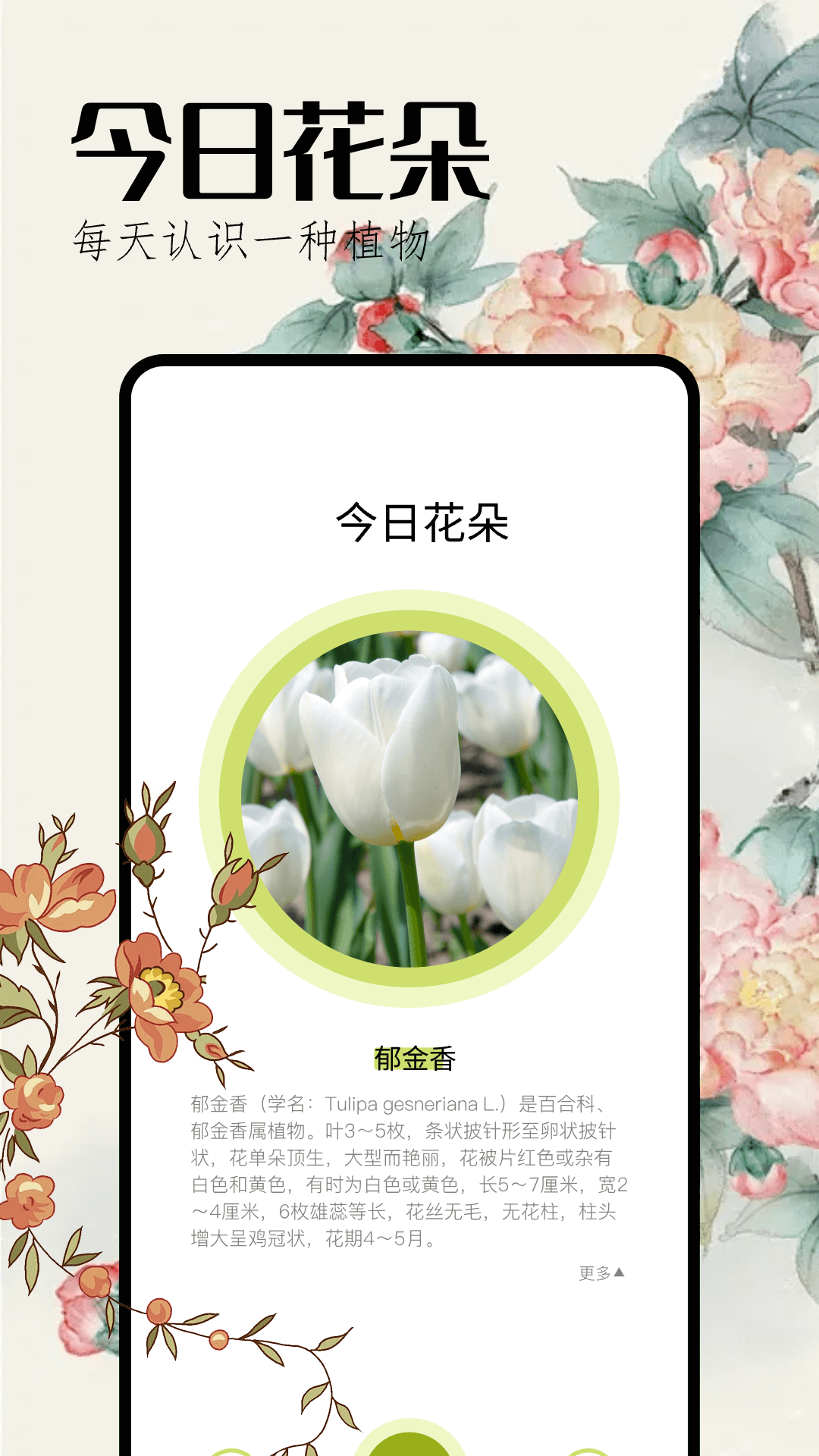 花草妙识截图
