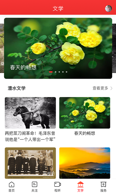 新桑植截图