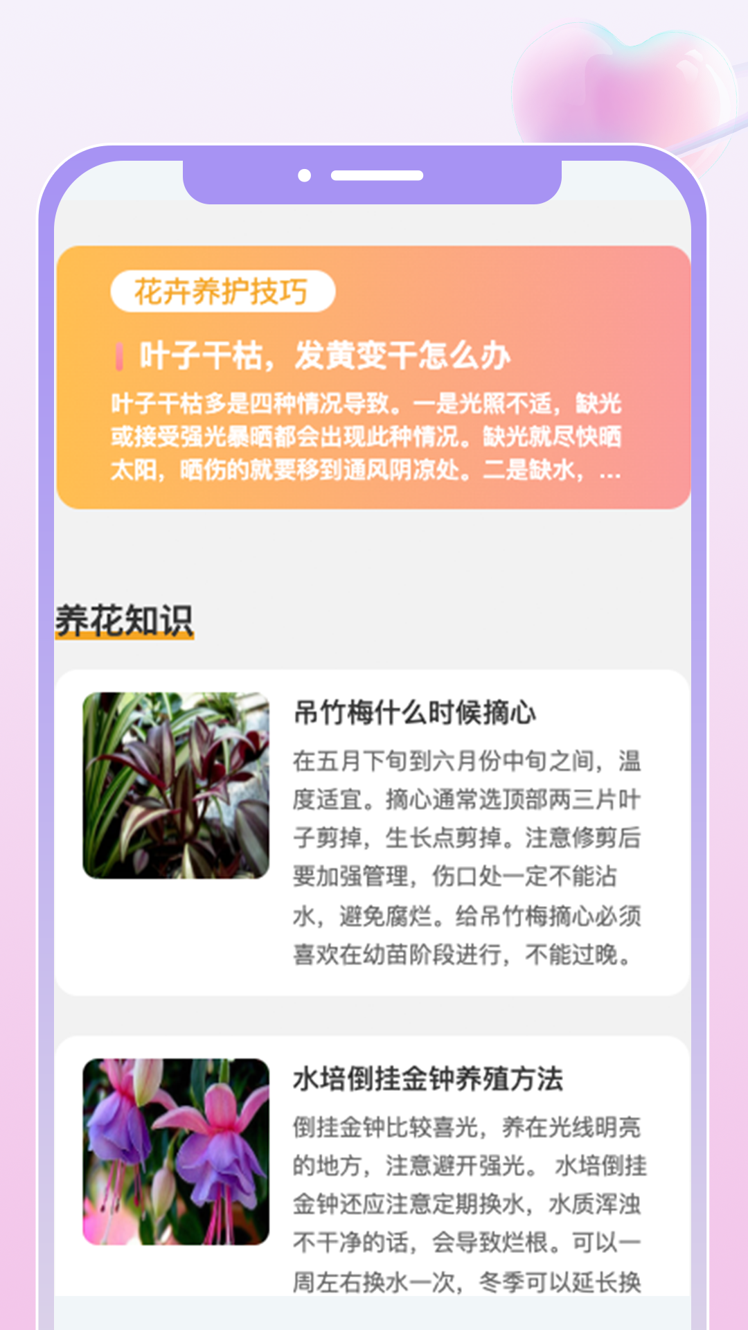 花汇趣看截图