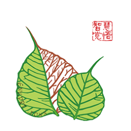 华膜商城电脑版