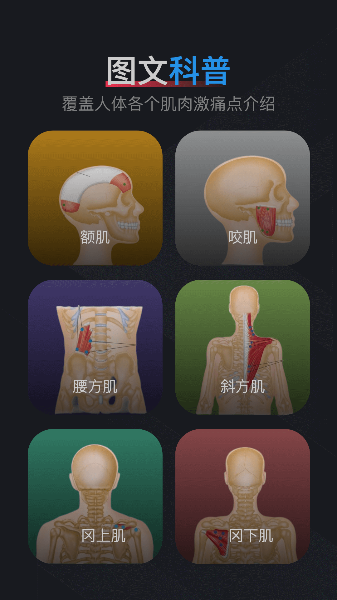 肌肉激痛点图谱截图