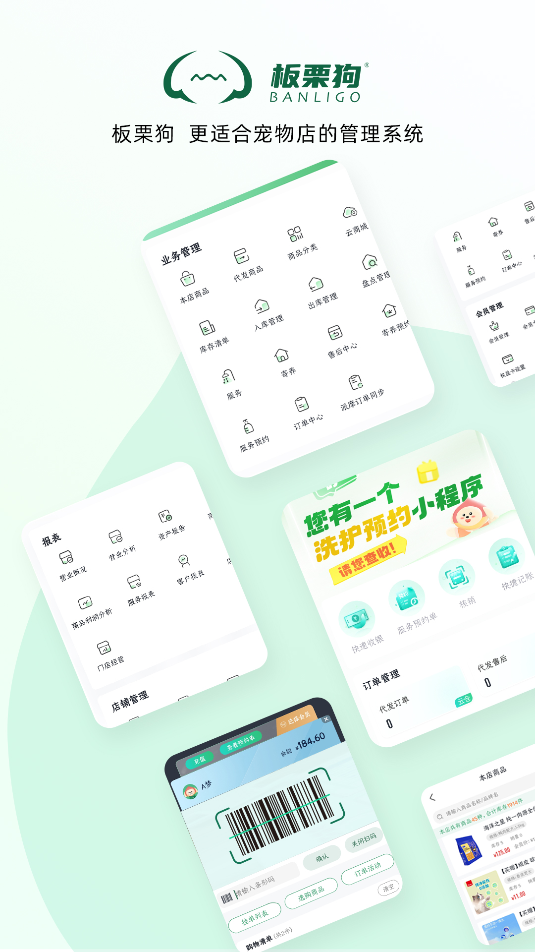 板栗狗截图