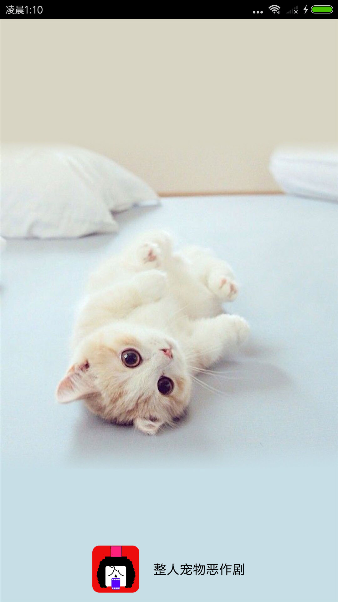 整人宠物恶作剧截图