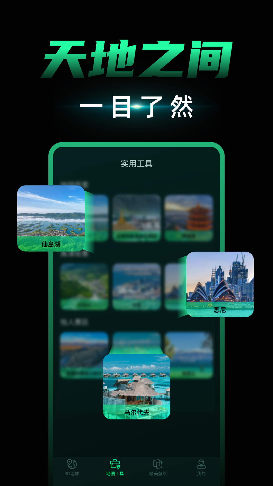 3D卫星地图截图