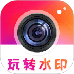 视频去水印电脑版