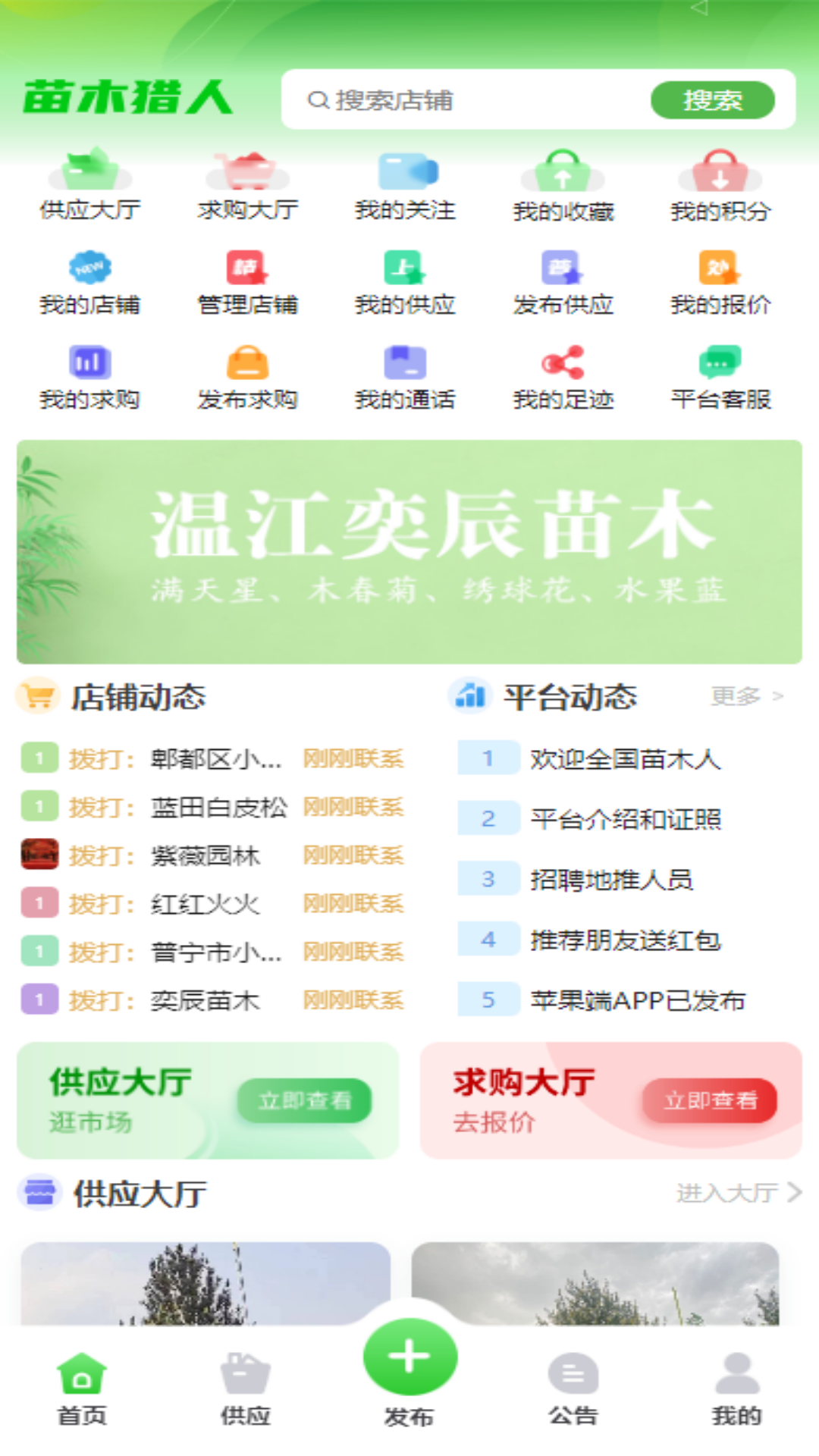 苗木猎人截图