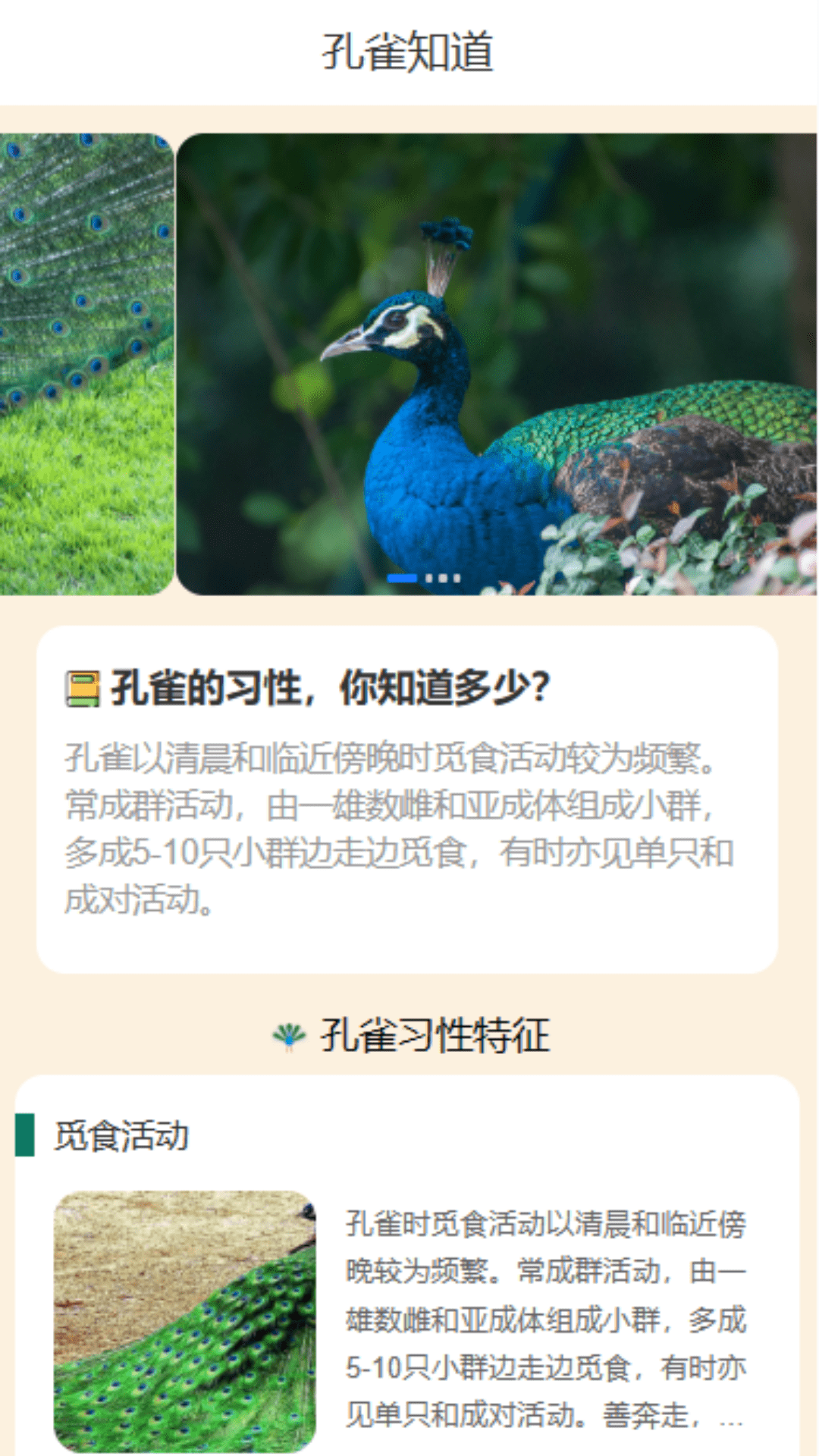孔雀享看截图