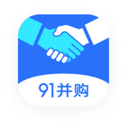 91并购电脑版