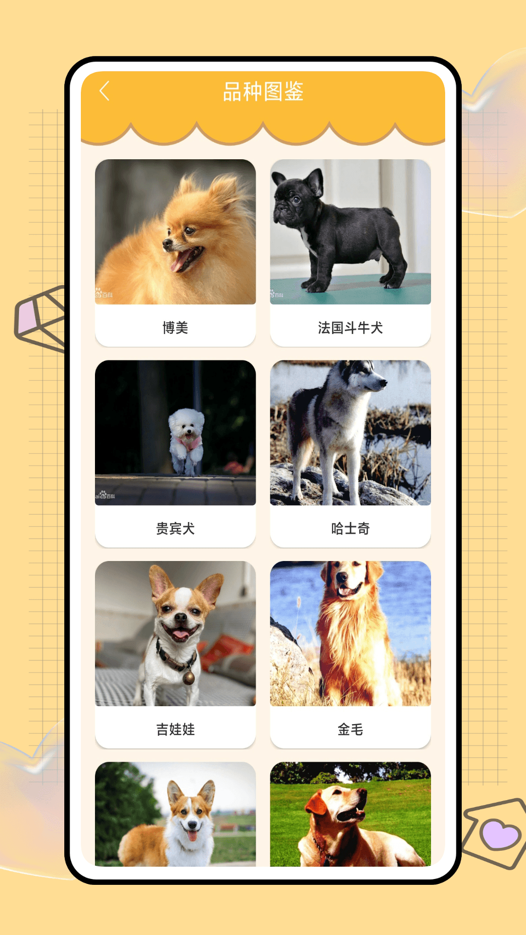 猫猫狗狗翻译器截图