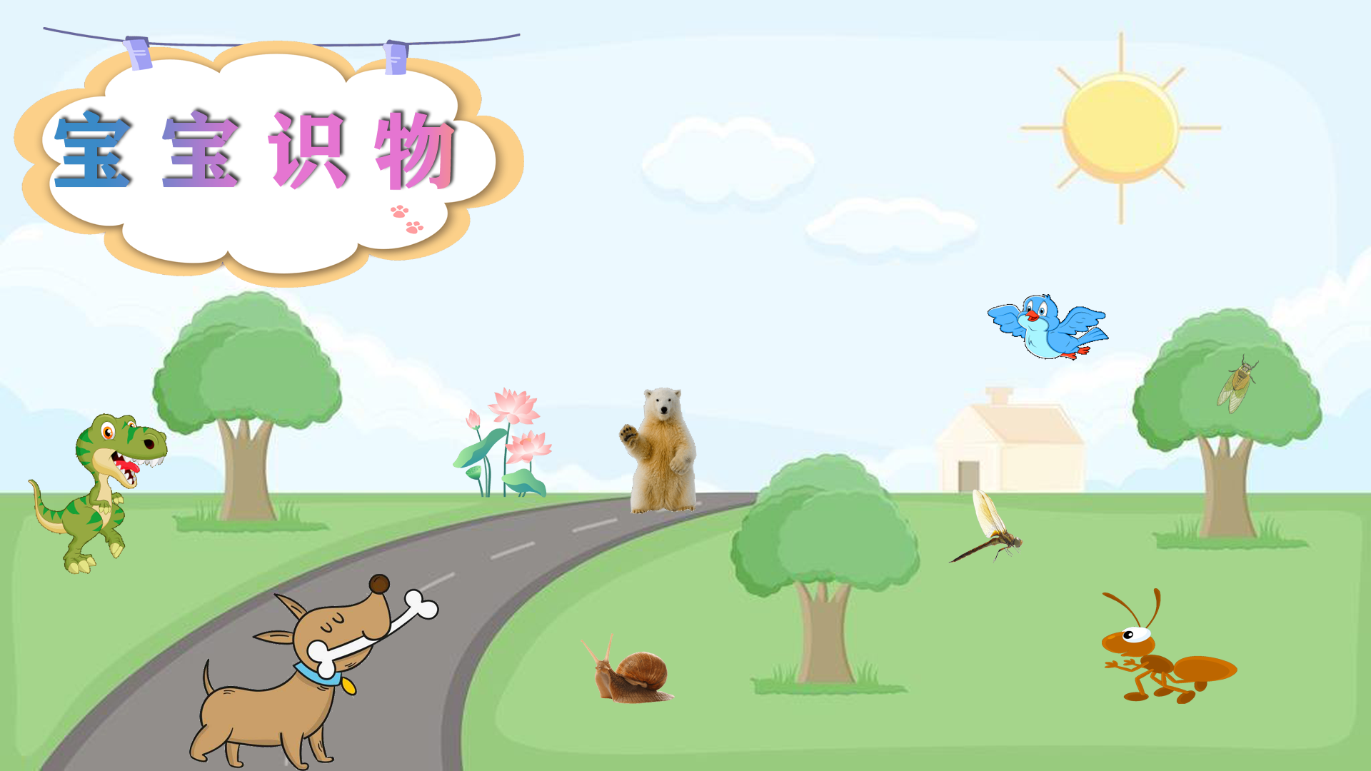 宝宝识物截图