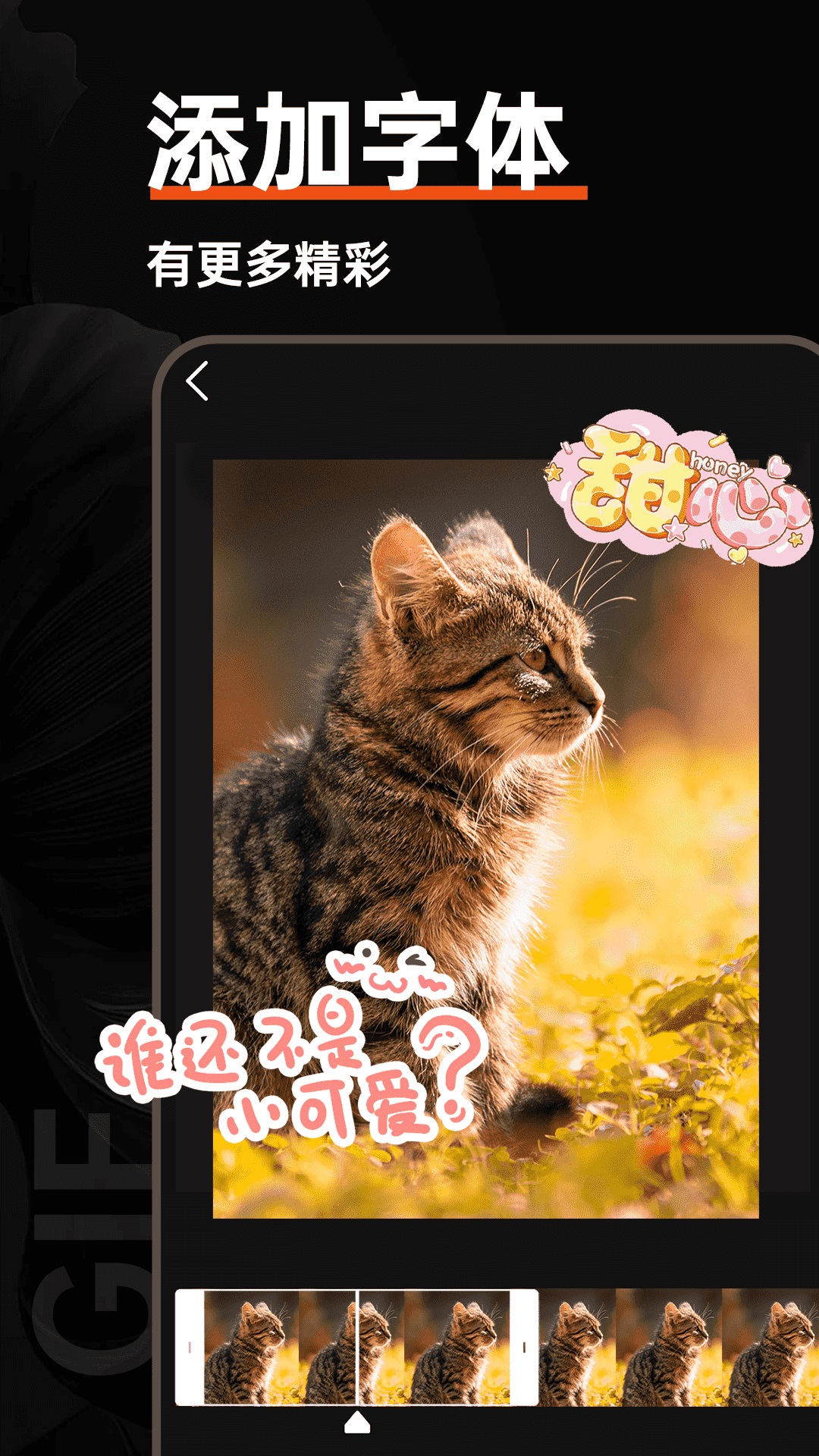 GIF动图社区截图