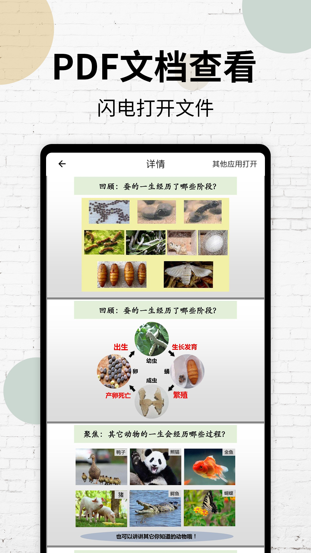 PDF阅读器截图