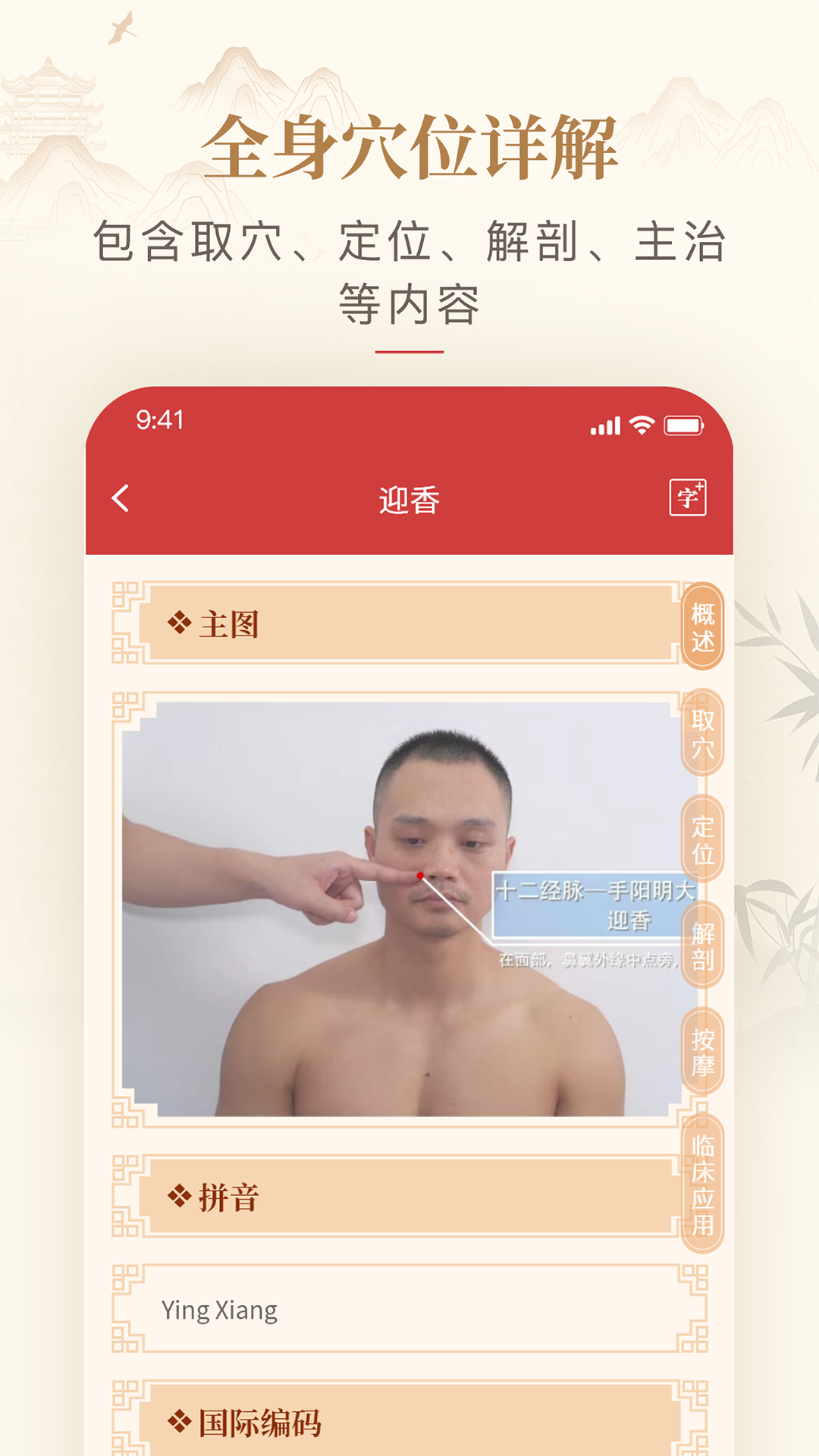 人体穴位图解截图