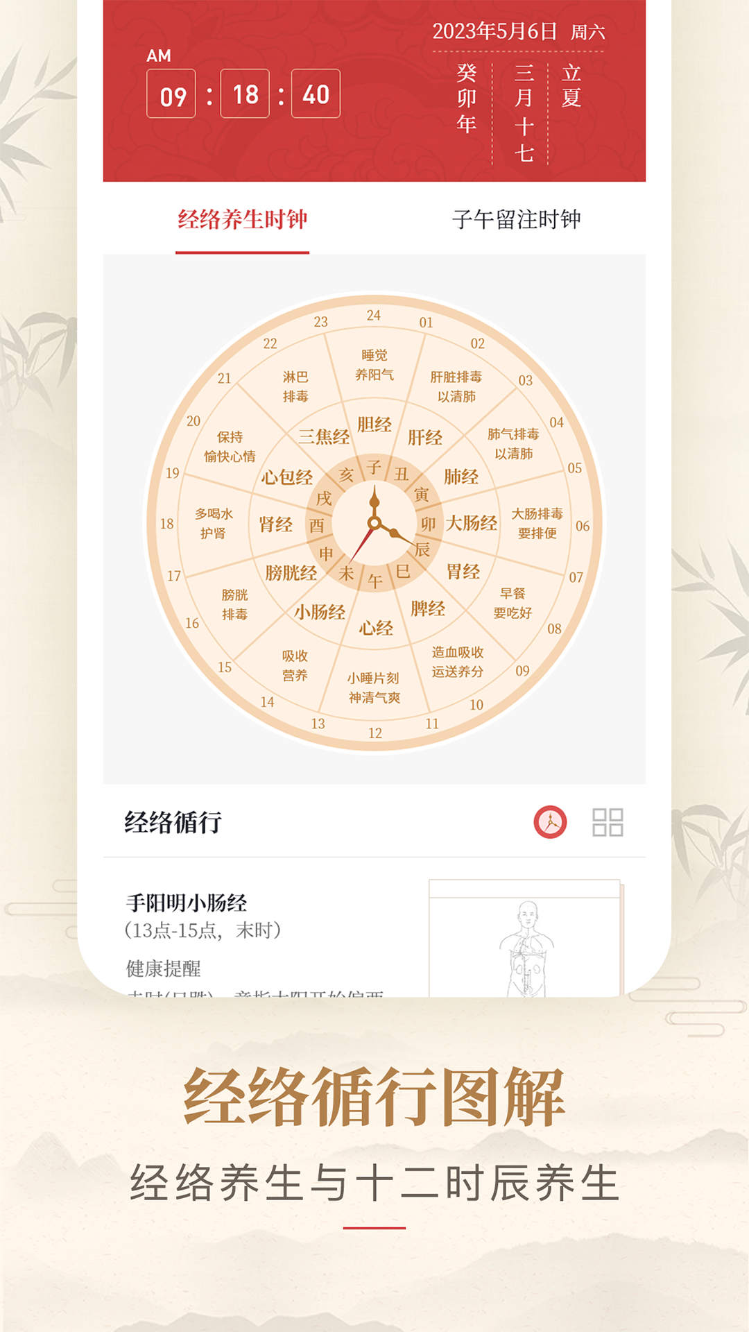 人体穴位图解截图