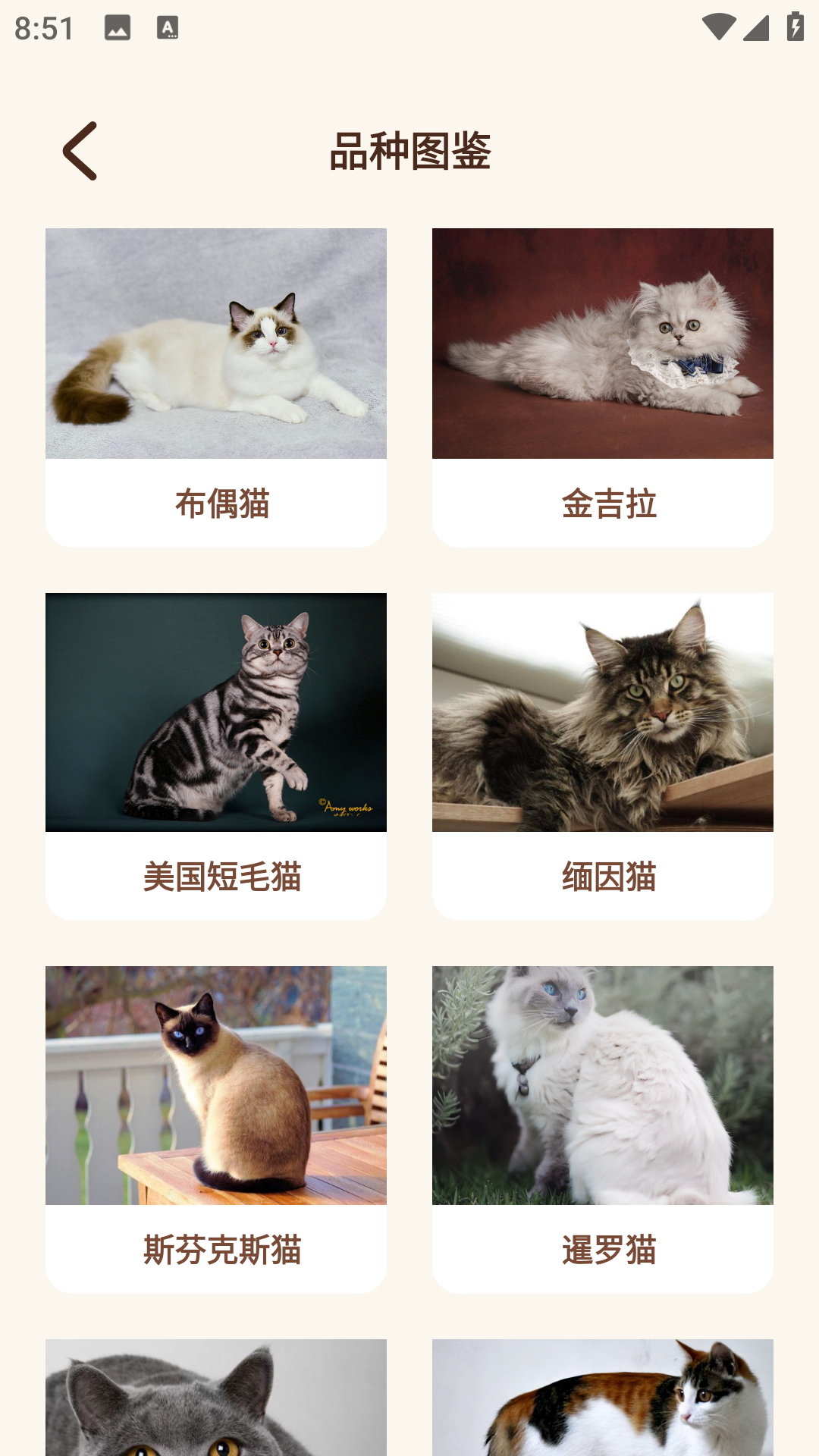 Peppycat猫语翻译器截图