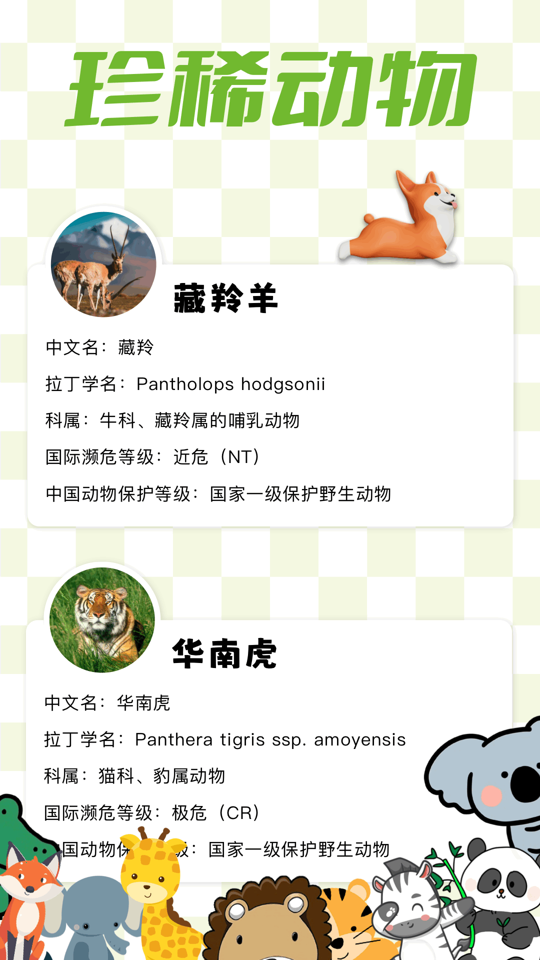 2369乐园截图