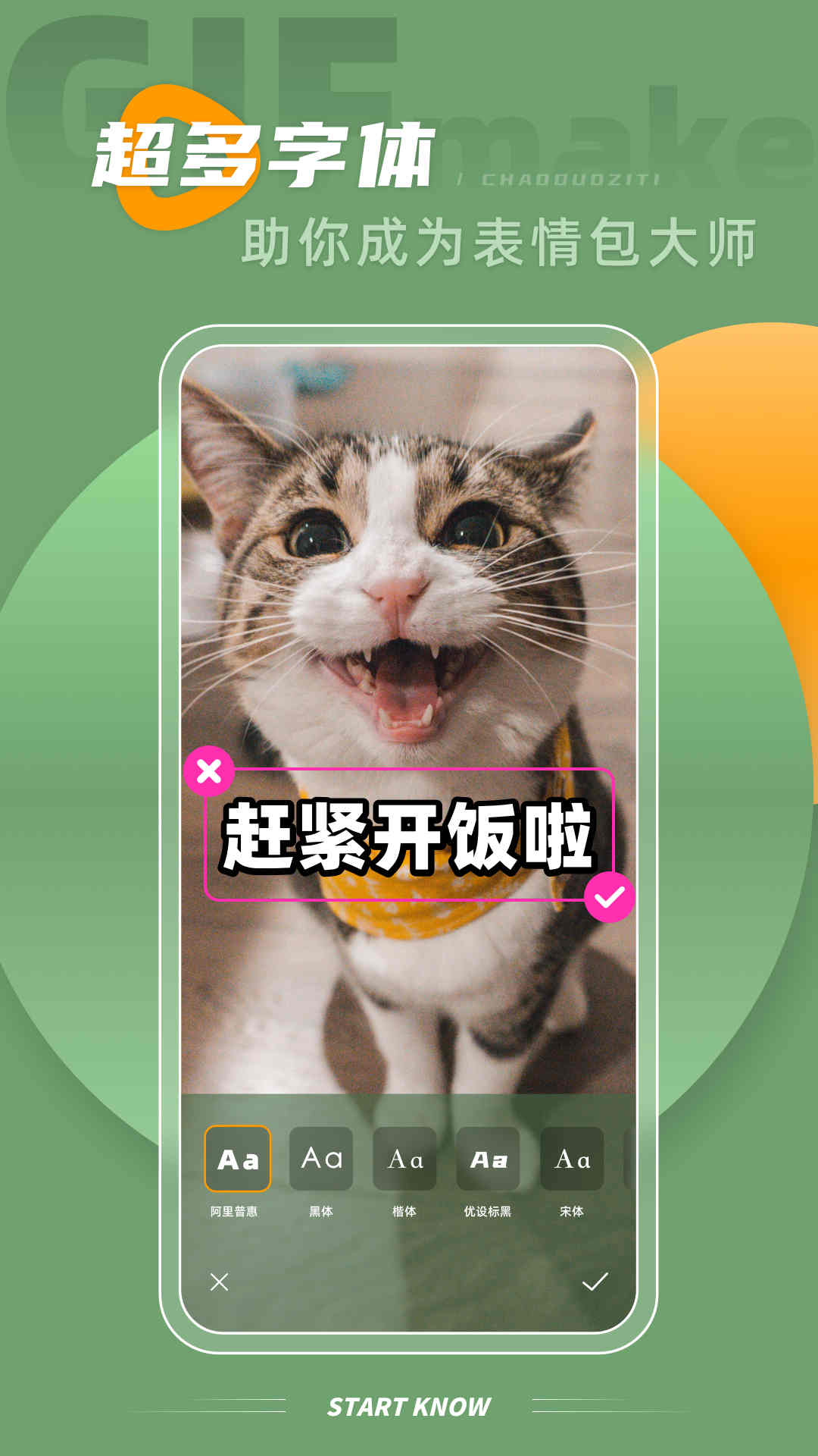 intoLive截图