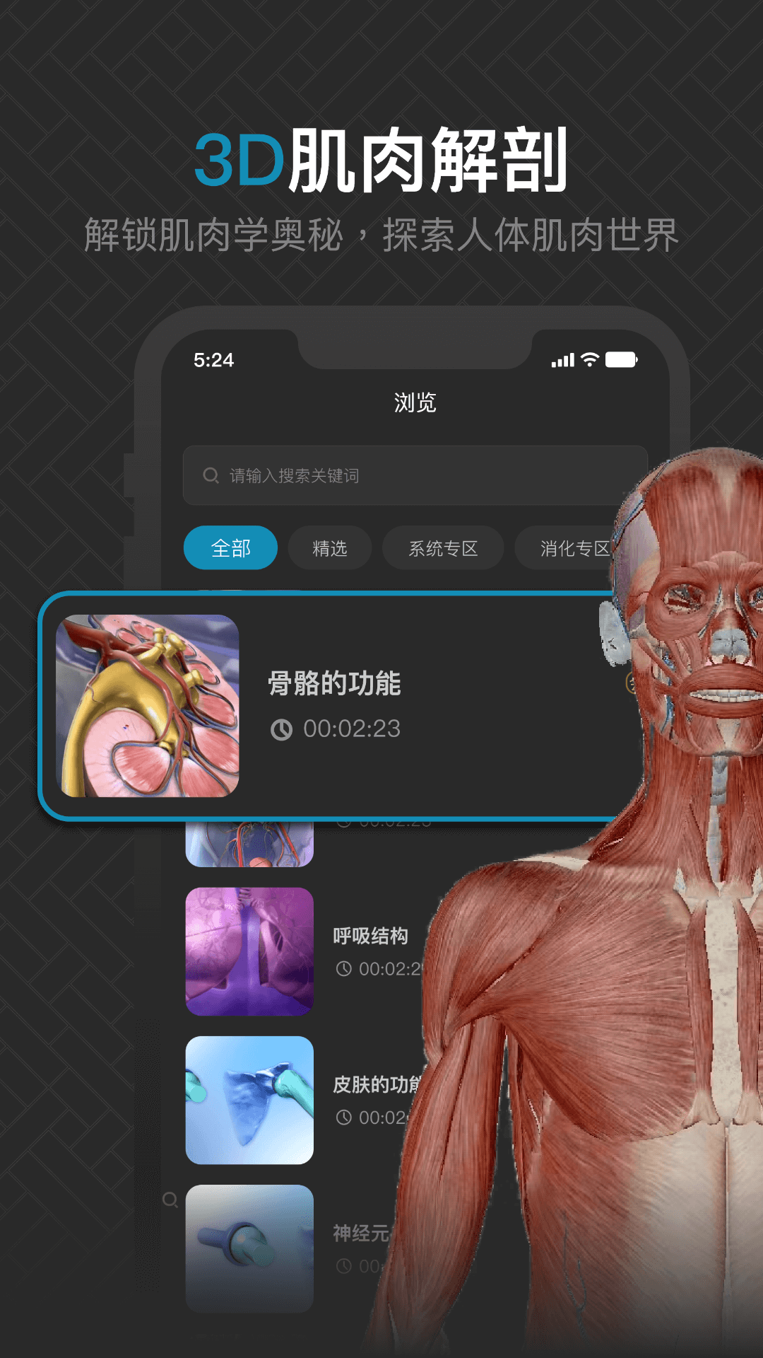 3D肌肉解剖截图