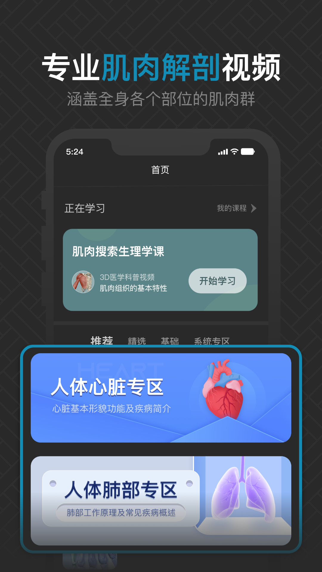 3D肌肉解剖截图