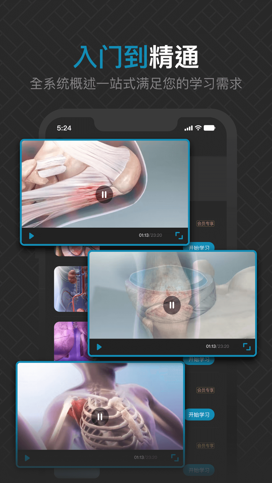 3D肌肉解剖截图
