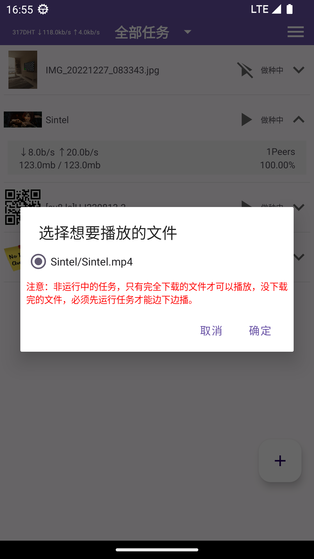 TorrentPlayer截图