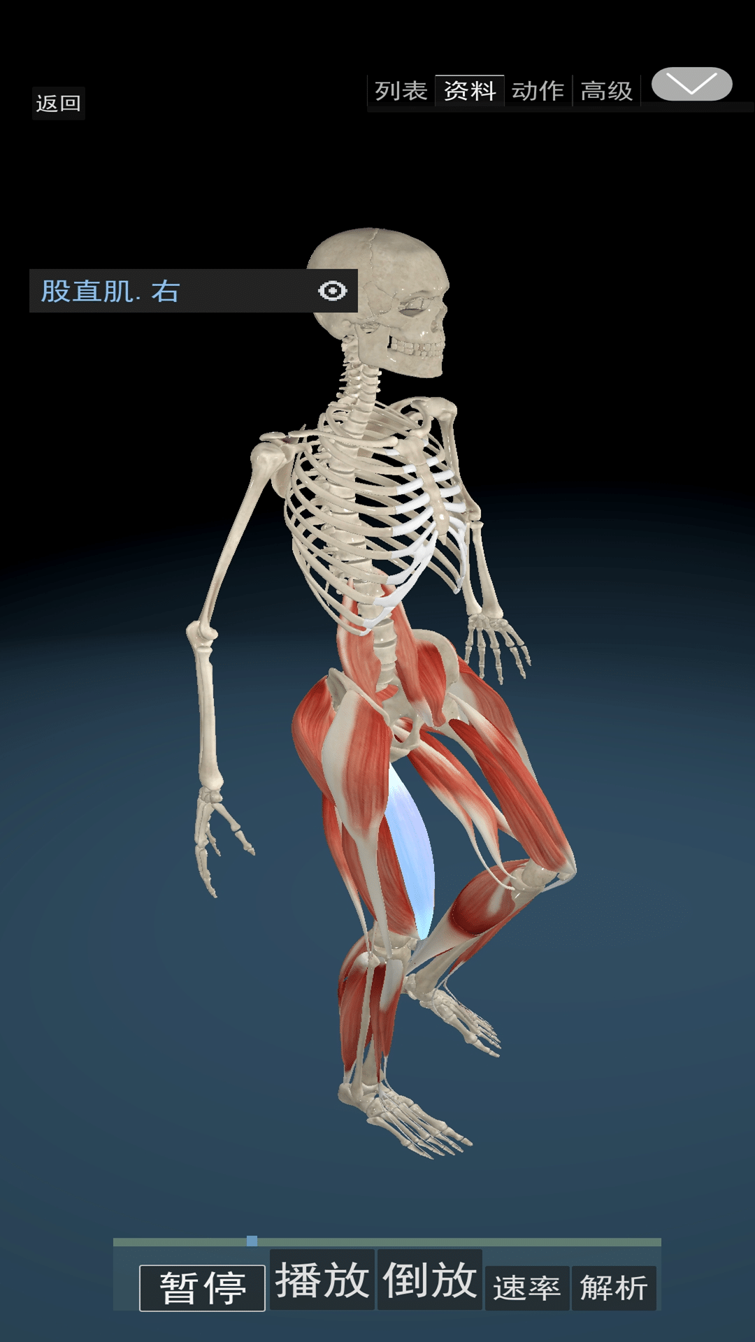 3D运动解剖截图