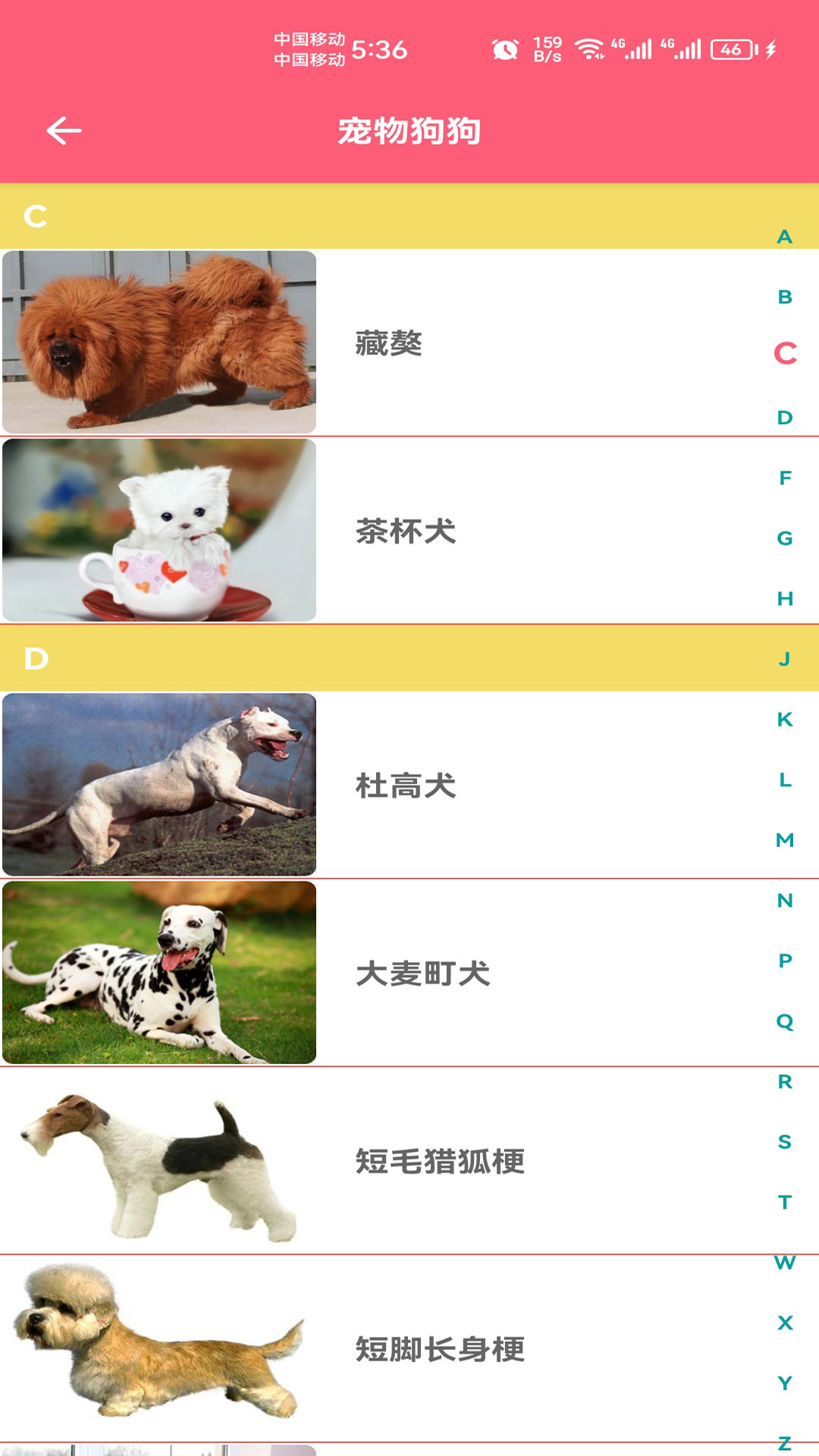 宠物宝宝大全截图